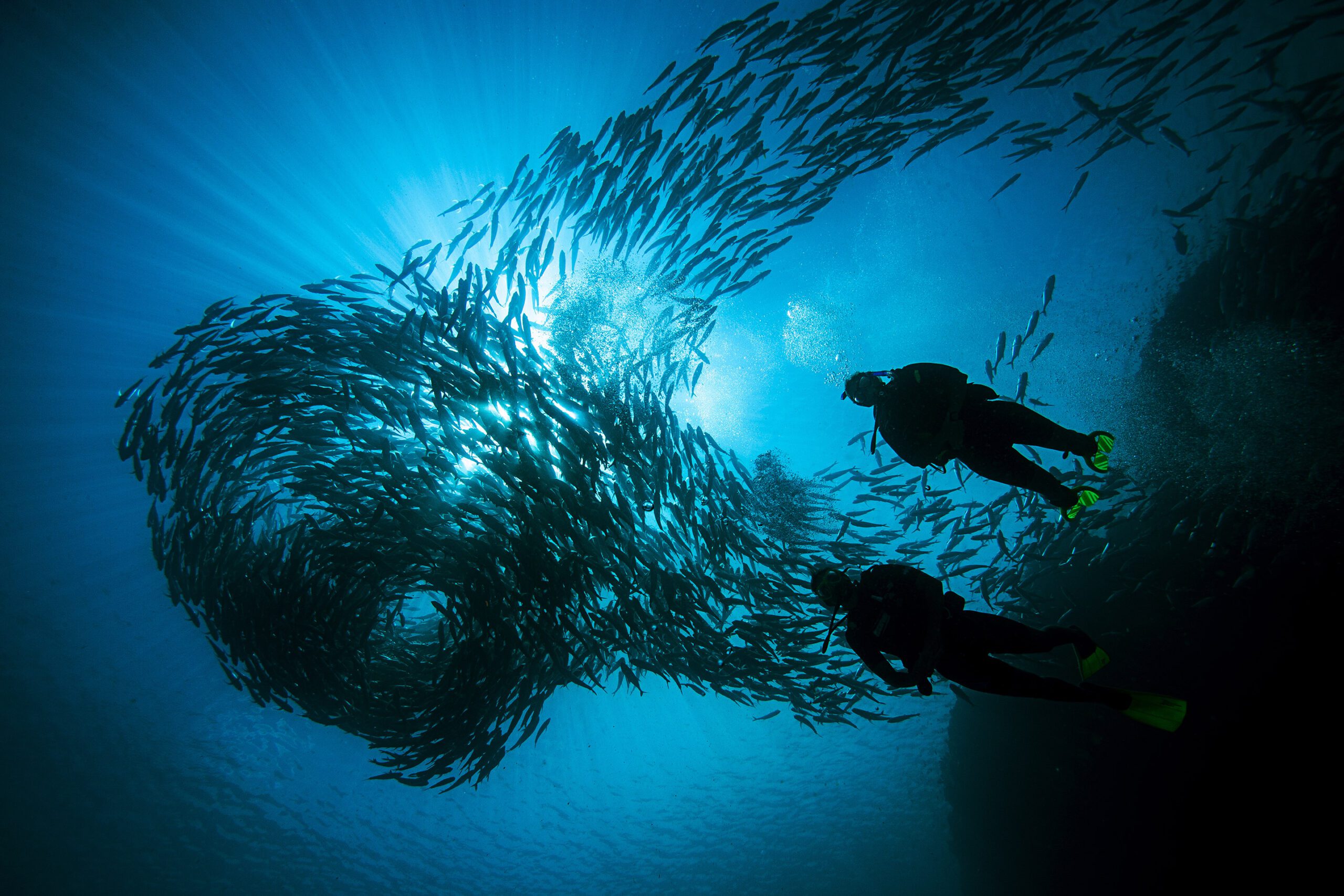 PADI Adventure Diver Course PADI Adventure Diver Course Koh Phangan