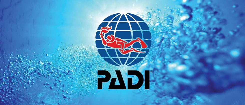 PADI MSDT Course PADI Courses Koh Phangan