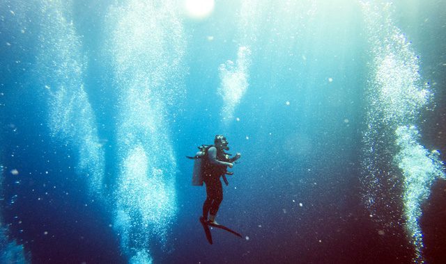 PADI Specialty Instructor Course PADI Specialty Instructor Course - Image 17
