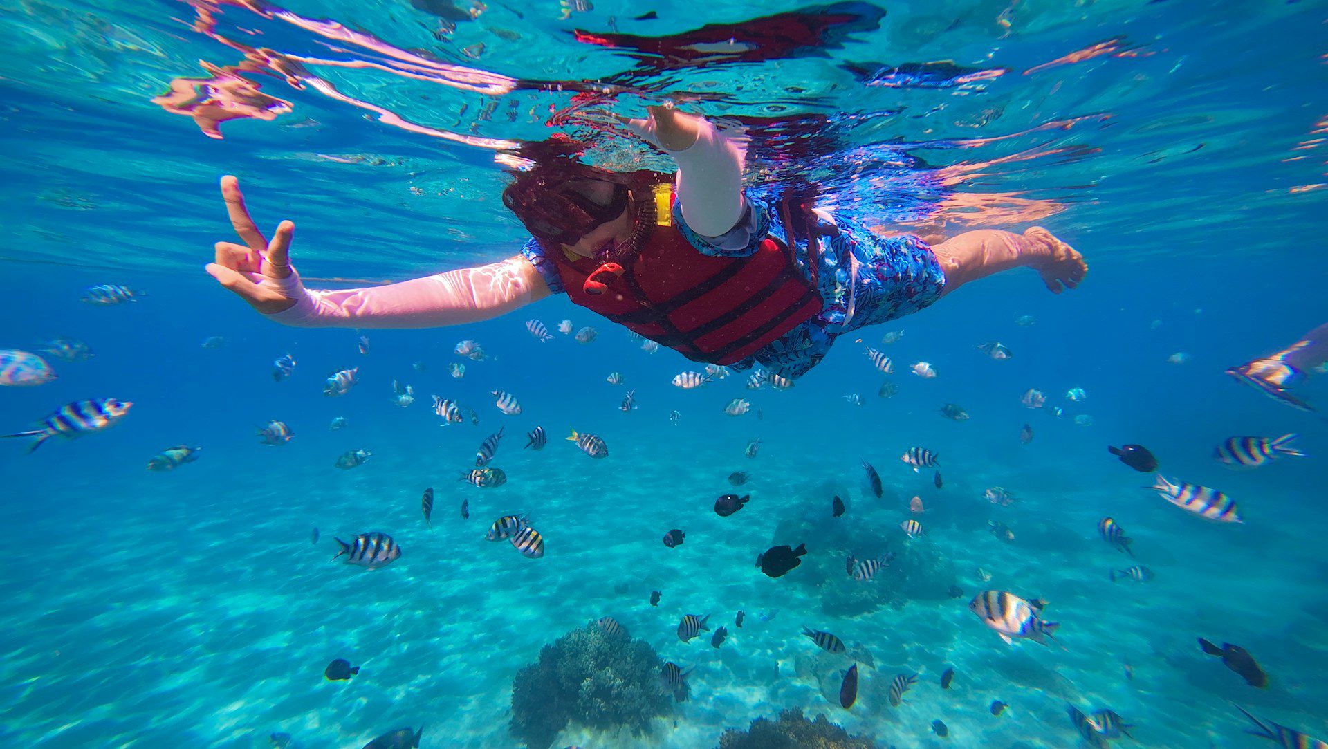 Snorkelling Snorkelling Koh Phangan