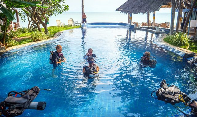 PADI MSDT Course PADI MSDT Course - Image 20