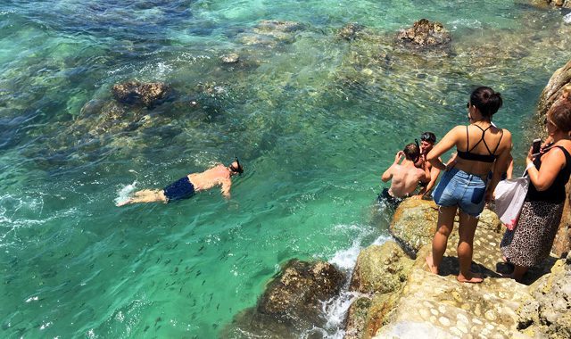 Snorkelling Snorkelling - Image 9