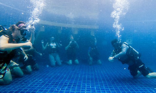PADI MSDT Course PADI MSDT Course - Image 8