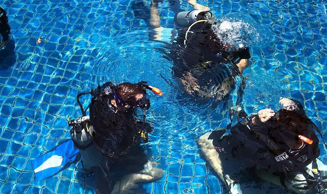 PADI MSDT Course PADI MSDT Course - Image 7