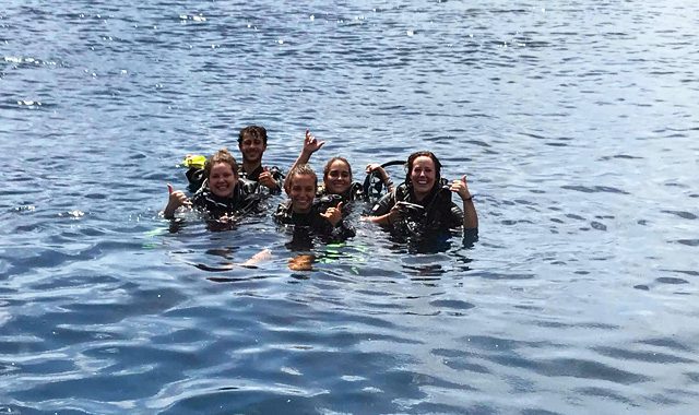 PADI MSDT Course PADI MSDT Course - Image 6