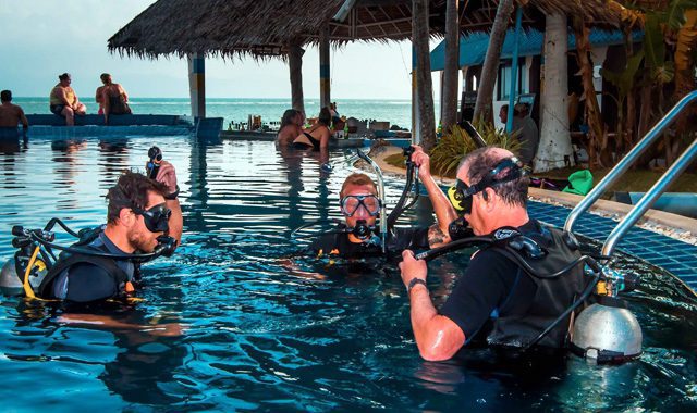 PADI MSDT Course PADI MSDT Course - Image 16