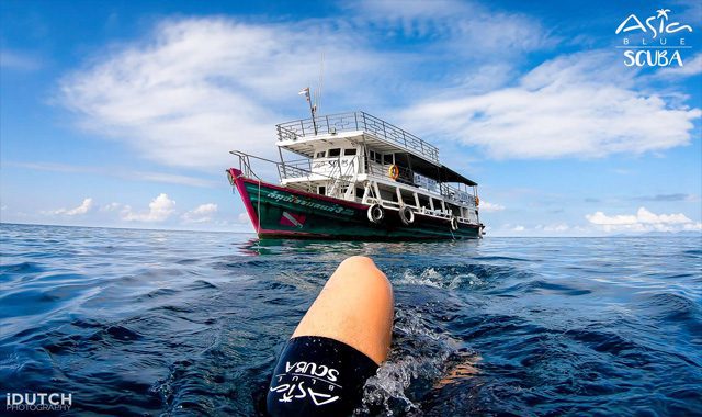 PADI Specialty Instructor Course PADI Specialty Instructor Course - Image 15