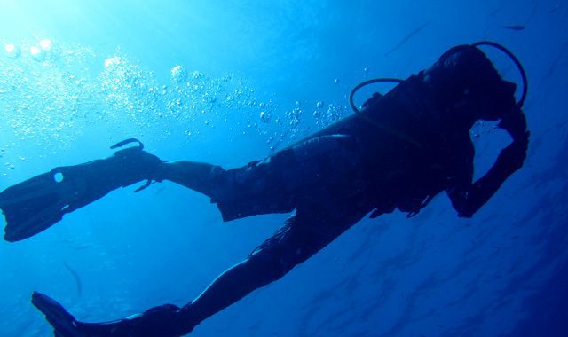 PADI Specialty Instructor Course PADI Specialty Instructor Course - Image 12