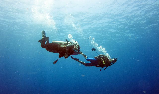 PADI Specialty Instructor Course PADI Specialty Instructor Course - Image 10