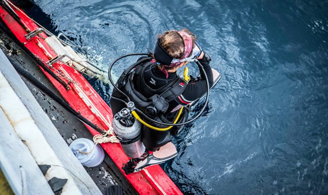 PADI Specialty Instructor Course PADI Specialty Instructor Course - Image 9