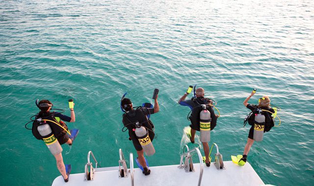 Open Water Course & Nitrox Open Water Diver and Enriched Air Diver
