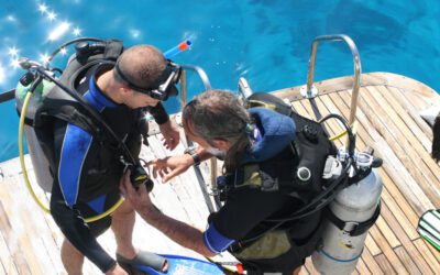 Home BWRAF Buddy Check: The Ultimate Safety Checklist for Scuba Diving