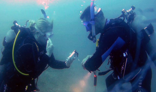 PADI Divemaster Course PADI Divemaster Course - Image 18