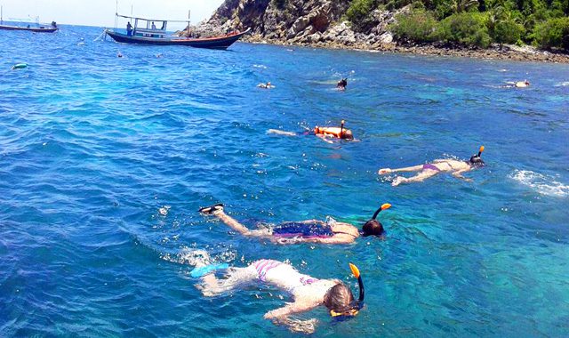 Snorkelling Snorkelling - Image 3