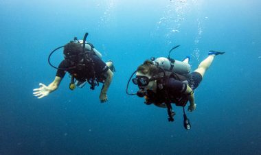padi scuba diver course koh phangan
