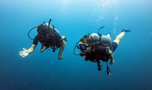 PADI Scuba Diver Course padi scuba diver course koh phangan