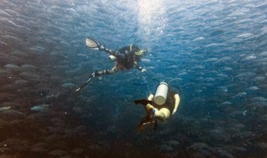 padi deep diver specialty course koh phangan
