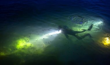 PADI Night Diver Specialty Course Koh Phangan