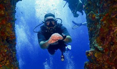 PADI PPB Course Koh Phangan