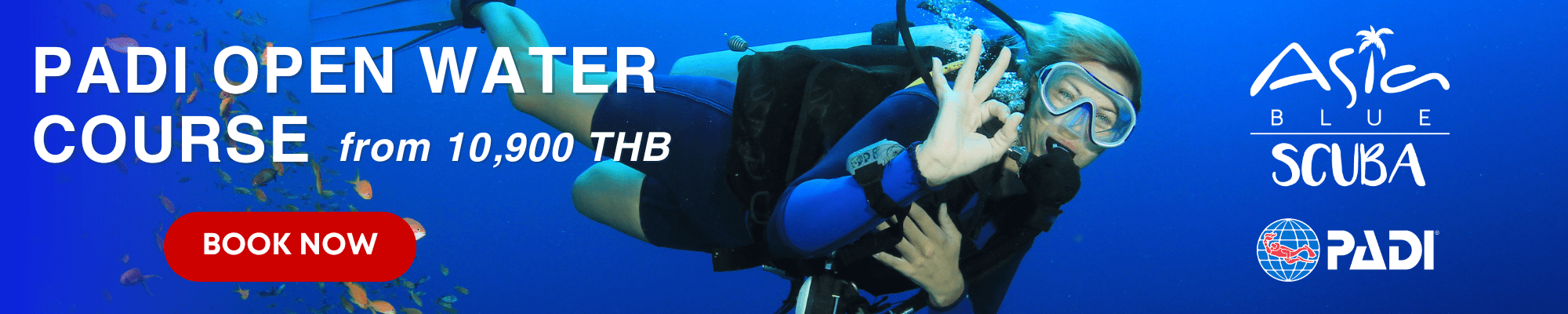 koh phangan PADI course